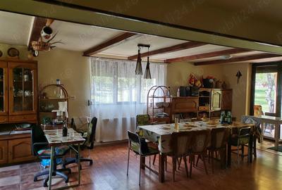 Cabana de vacanta Casoaia jud. Arad - 3