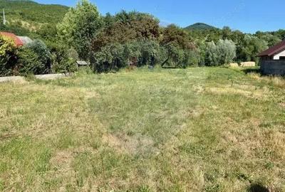 Teren de 3154 mp, în Bârsana - 1