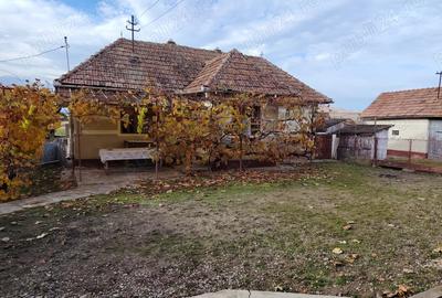 Casa locuibila, cu doua corpuri de cladiri, utilita?i, 1200 mp teren - 2