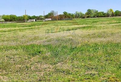 Teren de 589.6 mp, în Dărăști-Ilfov - 1