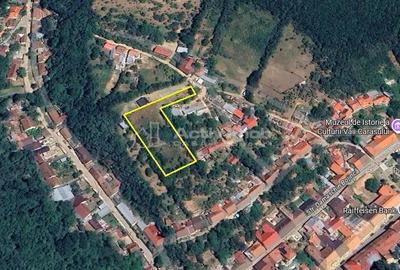 Teren de 2500 mp, în Vest - 10