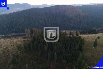 Teren situat in Frasin | BUCOVINA - 7