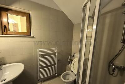 Vilă individuală cu piscină, Iancu Nicolae - 14