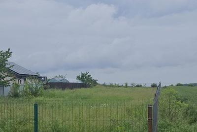Teren de 1000 mp, în Moara Vlăsiei - 3