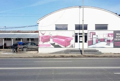 Spatiu: comercial, showroom, productie de inchiriat in Bartolomeu - 2