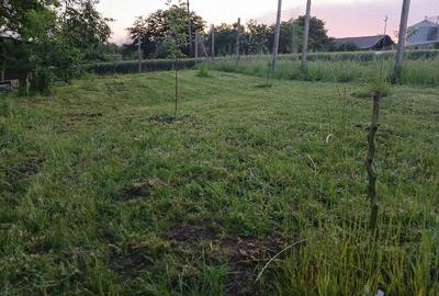 Casă cu 6 camere cu Teren 1600 Mp în Siliștea - 7