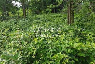 Spațiu comercial, în Polovragi - 4