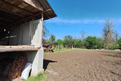 Casă cu 3 camere în Movila Miresii - 1