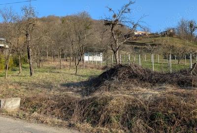 Teren de 2117 mp, în Central - 5
