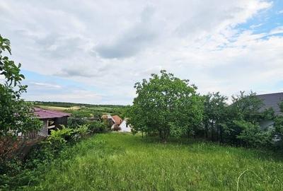 Teren Construcții intravilan de 780 mp, în Săldăbagiu de Munte - 5