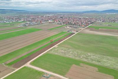 Teren intravilan - 11