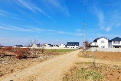 Teren de 877 mp, în Crevedia - 12