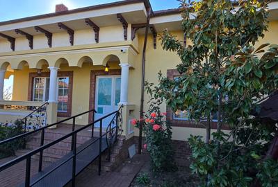 VILA LUX DE VANZARE -PANCIU-STRAOANE - 48