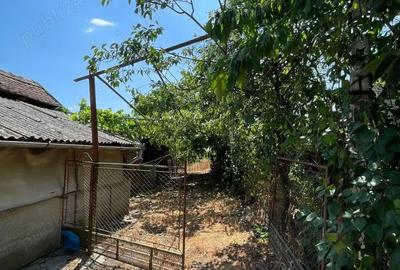 Casă cu 3 camere cu Teren 1400 Mp în Husasău de Tinca - 1