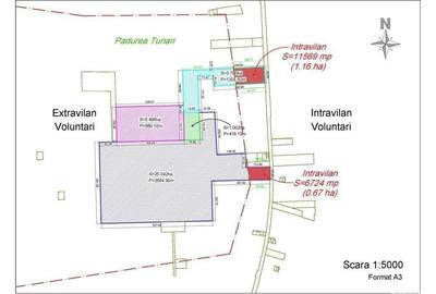 Pipera - padurea Baneasa, 352400 mp. teren pentru investitie extraordinara - 2