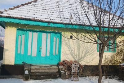 Casă cu 3 camere în Oituz - 1