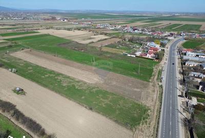 Teren de 9431 mp, în Garoafa - 3