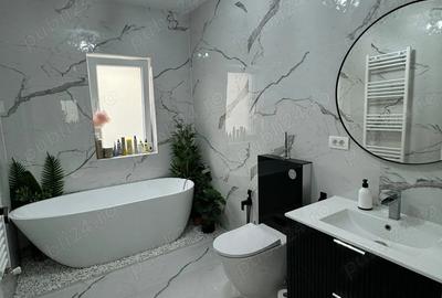 Vand casa Dumbravita - 2