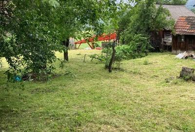 Casă cu Teren 900 Mp în Bixad - 5