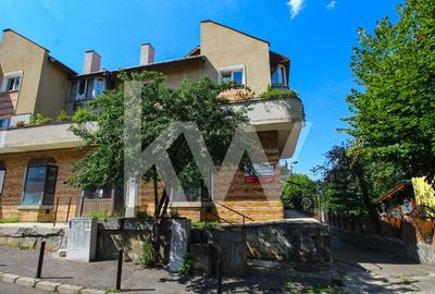 Spatiu comercial, 134 mp utili, central - Lacea - 2