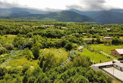Teren de vanzare pe Valea Avrigului Sibiu - 5