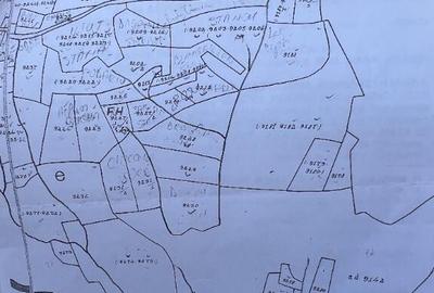 Teren de vanzare ideal pentru cabana Zona Valari, Paltini?(6131 m) - 4