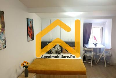 Garsonieră semidecomandată, mobilată în Parcul Carol - 5