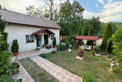 Casa 4 camere, anexe, recent renovata, foisor, teren 781mp, Izvoru, DB - 5