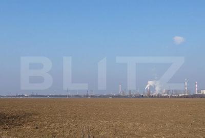 Teren 6,06 Ha, deschidere 145 ml, la DN1A. Barcanesti. - 3