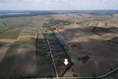 Teren intravilan 4,215mp Tes / comuna Brestovat - 1