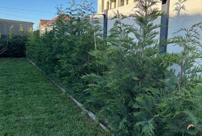 Casă cu 3 camere cu Teren 616 Mp în Moșnița Nouă - 6