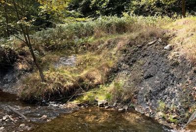 Vila deosebita -Mobilata si utilata in Cheia-Prahova-Comision 0% - 28