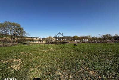 Teren de 1500 mp, în Schitu Duca - 4