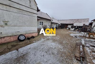 Casa 5 Camere, 143 mp + Anexa 65 m, Teren 1061 mp, Centru - 3