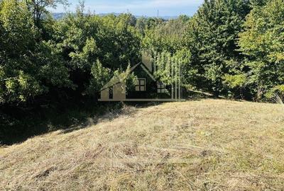 TEREN INTRAVILAN 3234 MP LERE?TI VOINE?TI ARGE? - 16