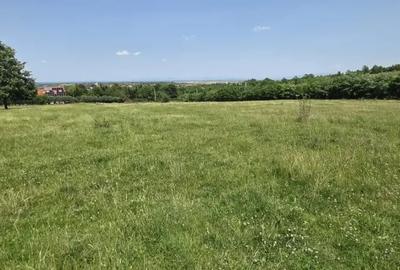 Teren de 1000 mp, în Viile Satu Mare - 1