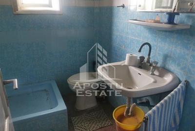 Casă cu 3 camere cu Teren 1571 Mp în Bucovăț (Remetea Mare) - 9