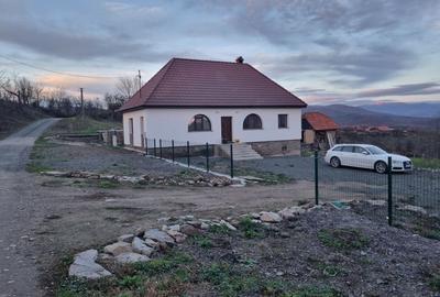 Casă cu 3 camere în Dulcele - 1