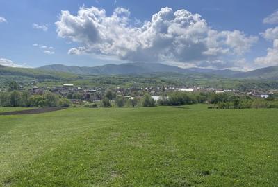 Teren Extravilan ,2386 mp, oportunitate de investitie - 4