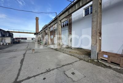 Spatiu industrial 600 mp utili de inchiriat in U.P.R.U.C Fagaras - 4