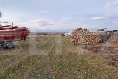 Teren de 6133 mp, în Central