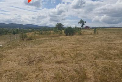 Teren de 4102 mp, în Valea Crișului - 4