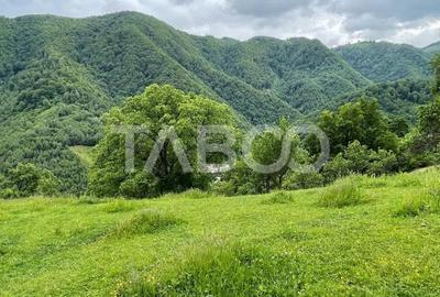 Teren intravilan de vanzare in Martinia de sus - 1