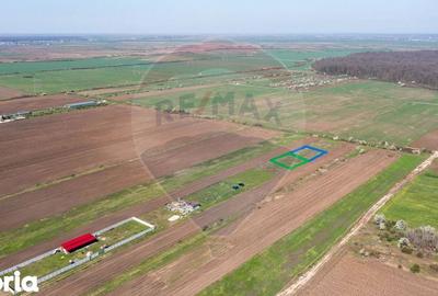 Teren de 500 mp, în Săbăreni - 12
