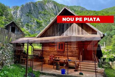 Casa de vacanta,3300 mp teren,Intregalde