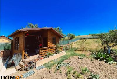 Casă cu 6 camere cu Teren 2151 Mp în Podu Turcului - 14