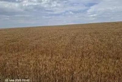 Teren Extravilan Pribesti, ID: R2774827 - 1