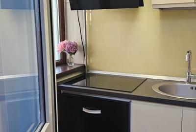 Apartament cu 3 camere decomandat, mobilat în Camil Ressu - 10