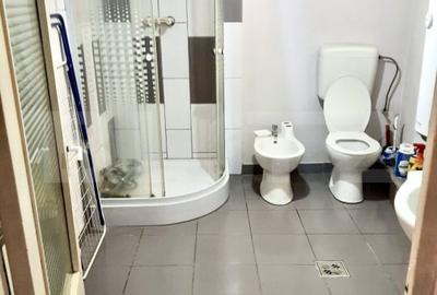Casa de vanzare cu curte si anexe, teren 1253 mp, Berghin - 7