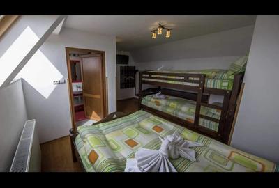 Casa de vacanta Ranca - 4